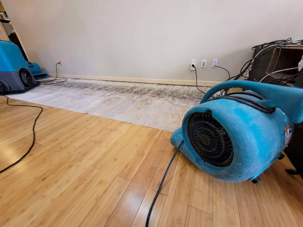 Professional Sewage Cleanup technician working in Crenshaw, MS